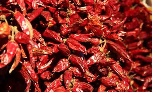 hot peppers could be a natural mouse repellent