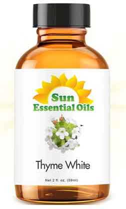 use thyme oil for fruit flies